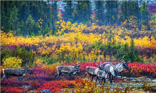 Yellowknife